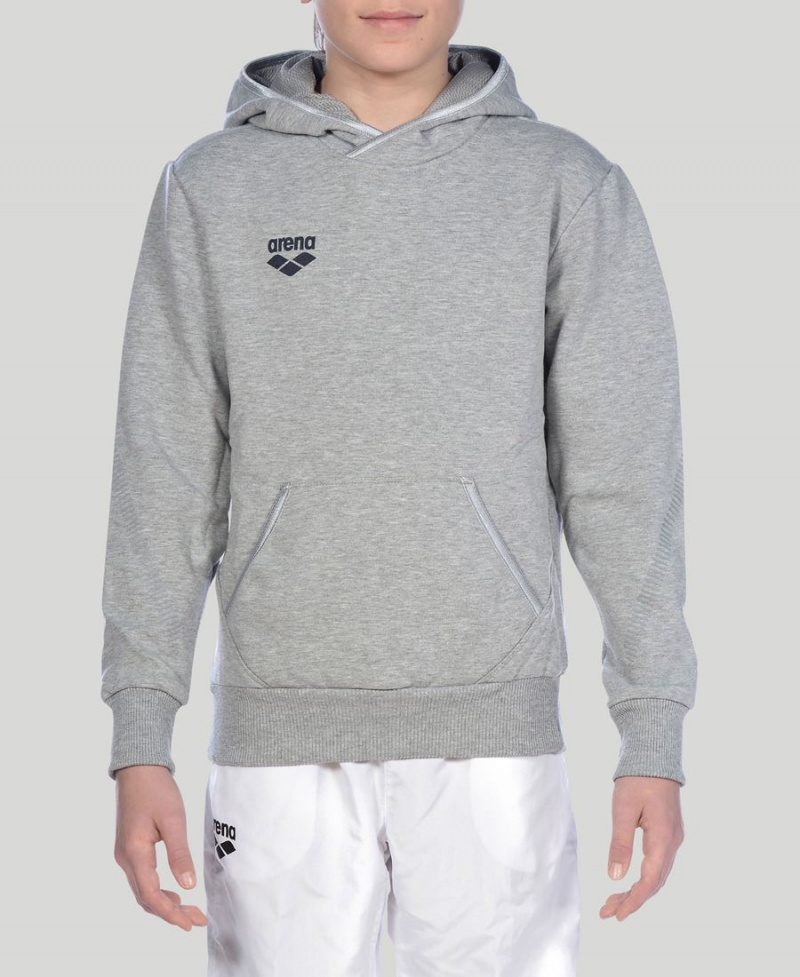 Arena Youth Team Line Long Sleeve Hoodie Grau | OPL97H-276