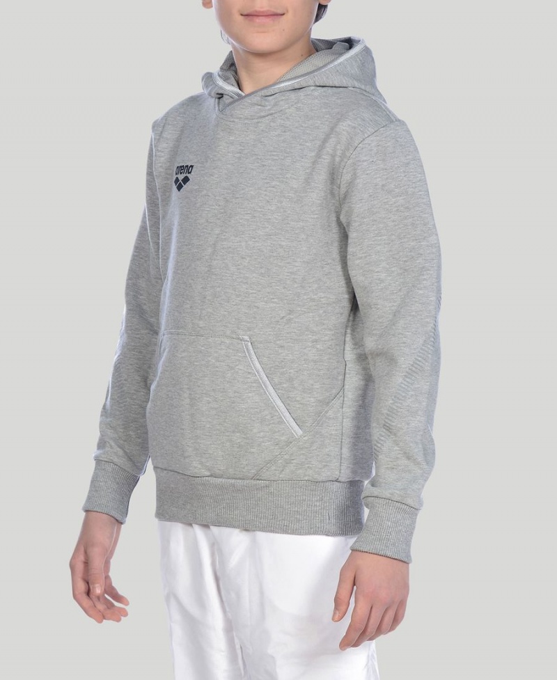 Arena Youth Team Line Long Sleeve Hoodie Grau | AIN50G-107