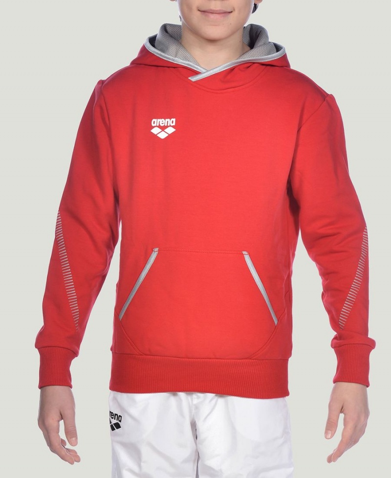 Arena Youth Team Line Long Sleeve Hoodie Rot | KAF15G-506